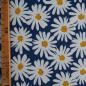 Preview: Baumwolljersey Margeriten blau weiß – FVJ